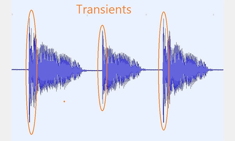 Transients Transients